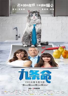 亚洲视频欧洲视频