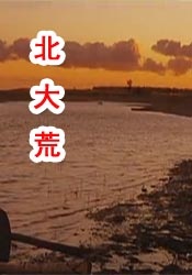 国产不卡在线