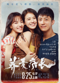 av网页在线观看