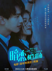 纶理片