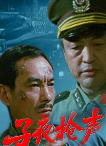 国产激情免费